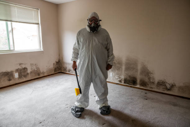 Best Attic Mold Removal  in Millersburg, OR
